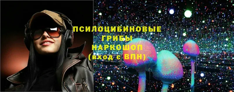 Псилоцибиновые грибы Magic Shrooms  Бирюсинск 